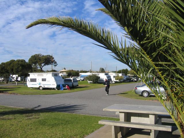 Discovery Holiday Parks - Adelaide Beachfront - Semaphore Park: Powered sites for caravans