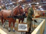 Albury All Seasons Tourist Park - Albury: Light horse, Army museum. Well worth a look