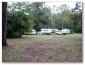 Amamoor Creek Campground - Amamoor State Forest: Camping area