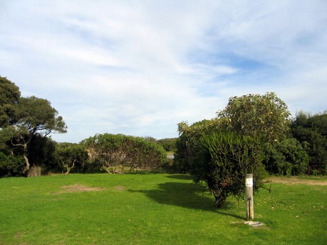Anglesea Beachfront Family Park - Anglesea: Powered sites for caravans with river view