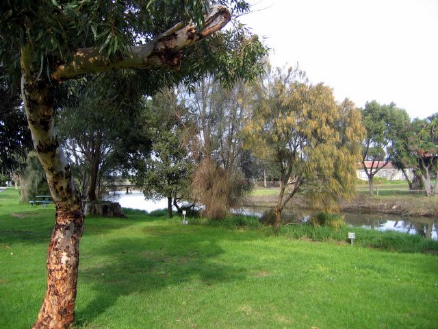 Apollo Bay Recreation Reserve - Apollo Bay: Area for tents and camping adjacent to river