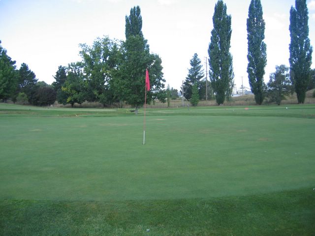 Armidale Golf Course - Armidale: Green on Hole 2