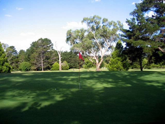 Armidale Golf Course - Armidale: Green on Hole 6