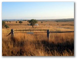 Ashford NSW - Album 1: Open grazing country a few kilometers from Ashford