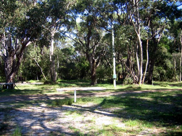 Racecourse Beach Tourist Park - Bawley Point: Natural bush setting with powered sites
