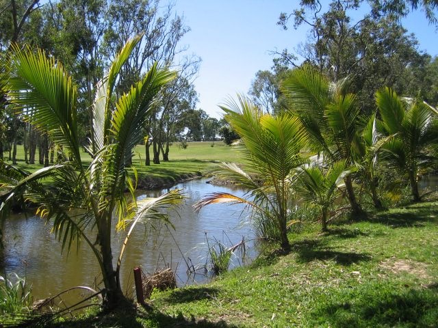 Black Springs Golf Course - Bakers Creek Mackay: Water beside the fairway and lovely palms