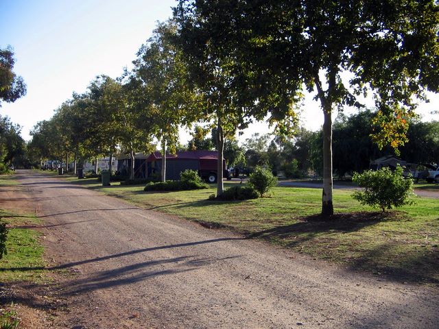 Kidman's Camp Caravan Park - Bourke: Powered sites for caravans