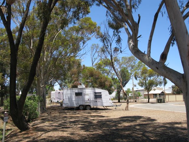 Broken Hill City Caravan Park - Broken Hill: Shady powered sites for caravans