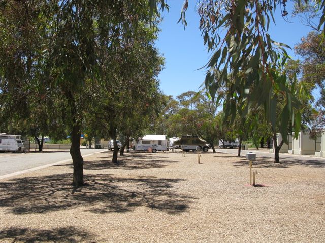 Broken Hill City Caravan Park - Broken Hill: Powered sites for caravans