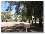 Broken Hill City Caravan Park - Broken Hill: Shady powered sites for caravans