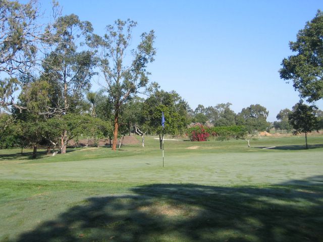 Bundaberg Golf Club - Bundaberg: Green on Hole 3