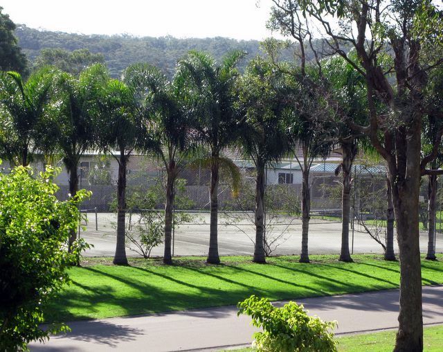 BIG4 Bungalow Park - Burrill Lake: Tennis courts surrounded by palm trees.