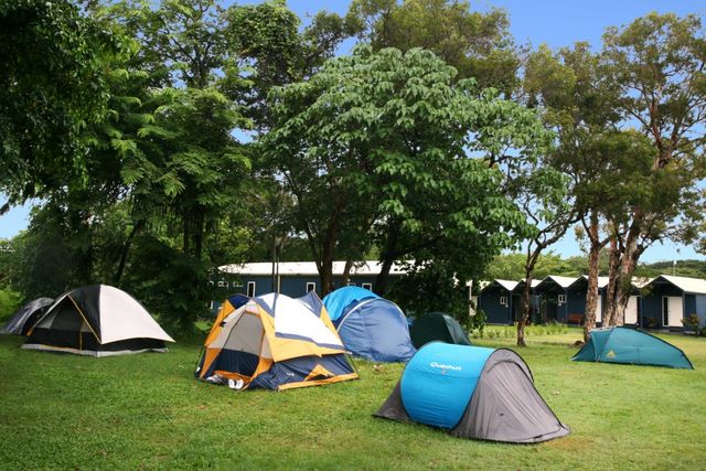 Cairns Holiday Park - Cairns: Area for tents and camping
