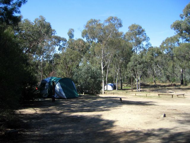 Alivio Tourist Park - O'Connor: Area for tents and campers