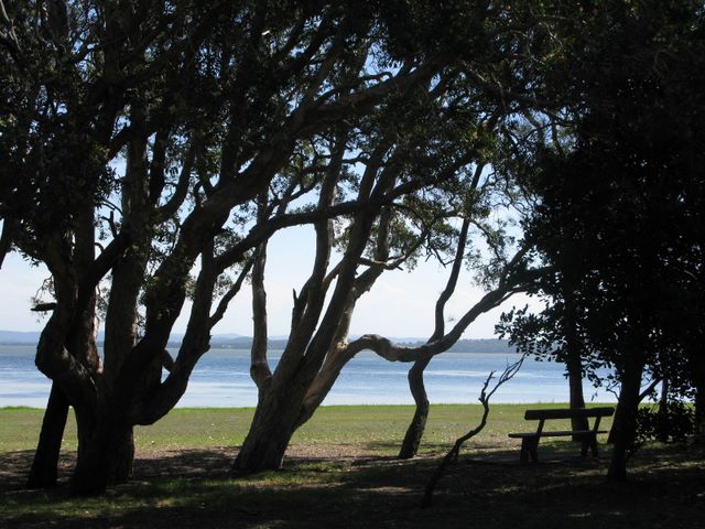 Canton Beach Holiday Park - Toukley NSW 2009: View of Tuggerah Lake from the Caravan Park.