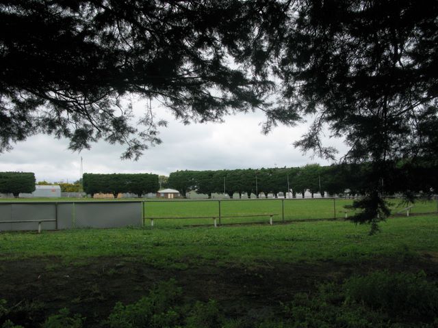 Central Caravan Park - Colac: Powered sites have views of the Showground.