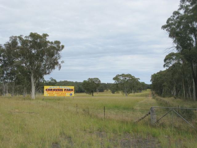 Gowan North Rest Area - Coonabarabran: Grassy fields to the south.