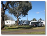 John Oxley Caravan Park - Coonabarabran: Powered sites for caravans