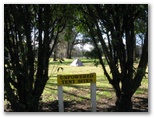 John Oxley Caravan Park - Coonabarabran: Area for tents and camping.