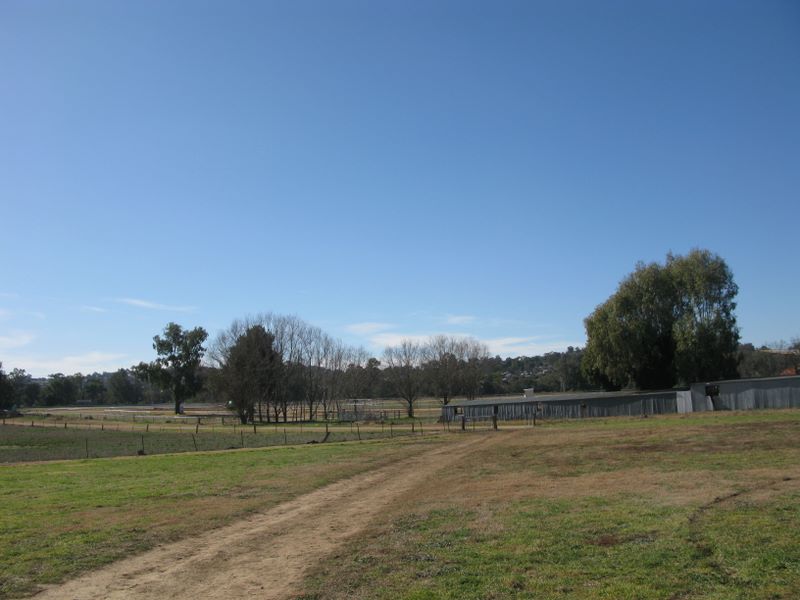 Cowra Showground Caravan Park - Cowra: Area for tents and camping in the Showground camping area.  Horses travel through this area at different times of the day.