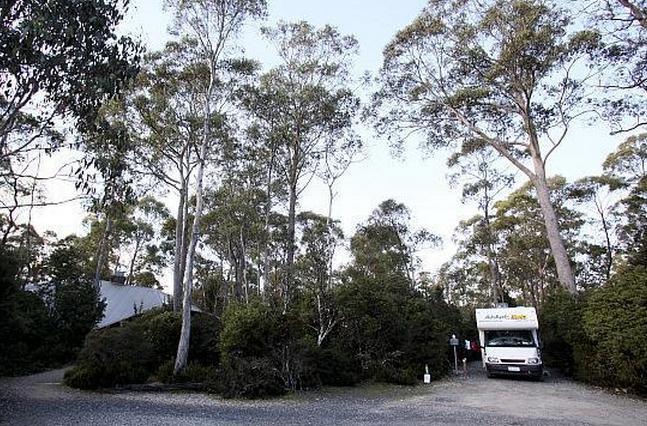 Discovery Holiday Parks - Cradle Mountain - Cradle Mountain: Powered sites for caravans in bushland setting.
