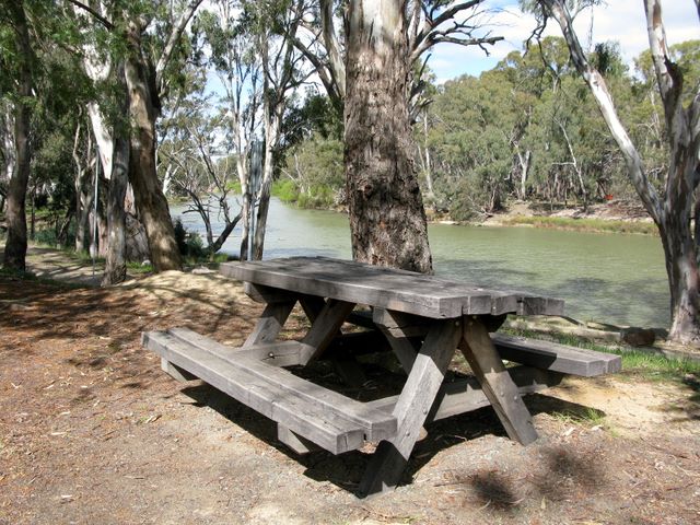 Deniliquin Riverside Caravan Park - Deniliquin: Riverside picnic table