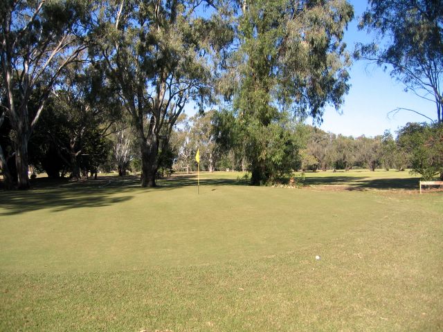 Echuca YMCA Golf Course - Echuca: Green on Hole 4