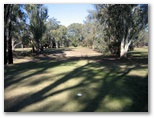 Echuca YMCA Golf Course - Echuca: Fairway view Hole 4