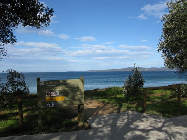 Eden Tourist Park - Eden: Aslings Beach is directly across the road from the park.