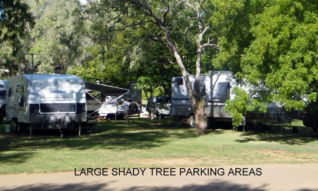 Fitzroy River Lodge Caravan Park - Fitzroy Crossing: Shady powered sites for caravans