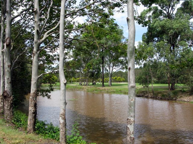 Gainsborough Greens Golf Course - Pimpama: Lots of delightful creeks runs through the course