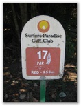 Surfer's Paradise Golf Club - Gold Coast: Surfer's Paradise Golf Course: Hole 17, Par 4 - 256 meters off red marker