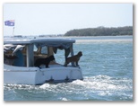 Gold Coast Canals - Gold Coast: Gold Coast Canals - Gold Coast Queensland - Album 2: Dogs at sea