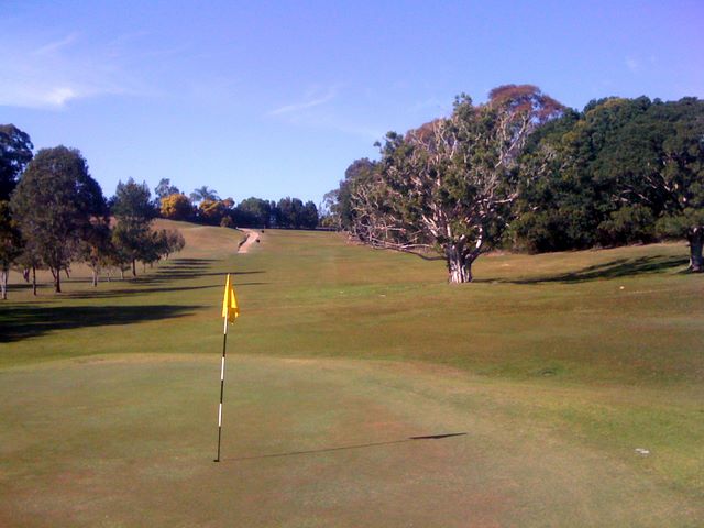 Tally Valley Public Golf Course - Elanora Gold Coast: Green on Hole 4 looking back along the fairway.