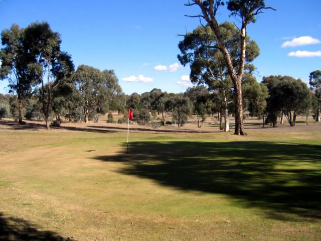 Goolabri Resort Golf Course - Sutton: Green on Hole 2