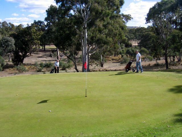 Goolabri Resort Golf Course - Sutton: Green on Hole 9