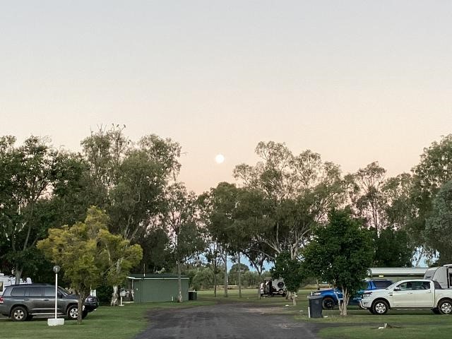Gundy Star Tourist Van Park - Goondiwindi: The moon rising over the park
