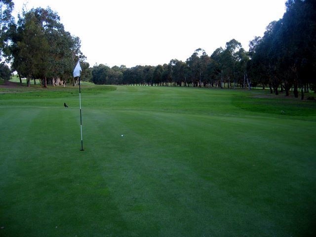 Gordon Golf Course - Gordon Sydney: Green on Hole 7 looking back along fairway