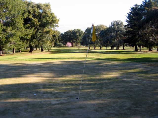 Gulgong Golf Course - Gulgong: Green on Hole 9
