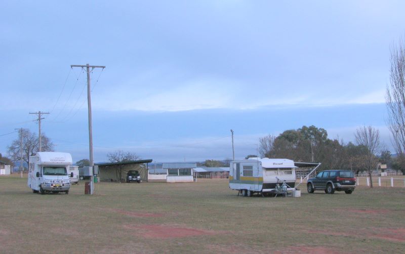 Gulgong Showground Caravan Park - Gulgong: Powered sites for caravans - this photo was taken early on a winters morning.