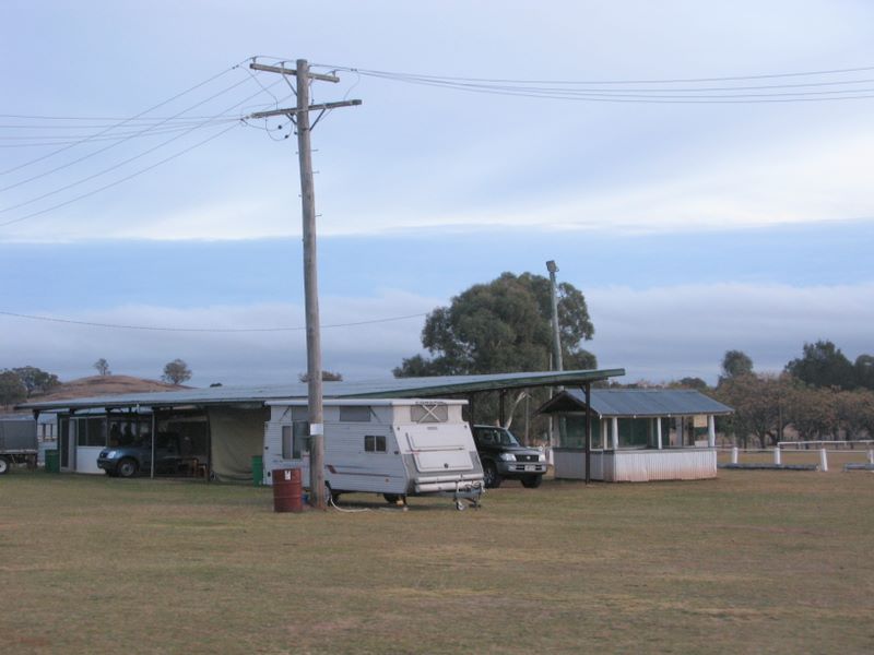 Gulgong Showground Caravan Park - Gulgong: Powered sites for caravans with facilities for campers in the background