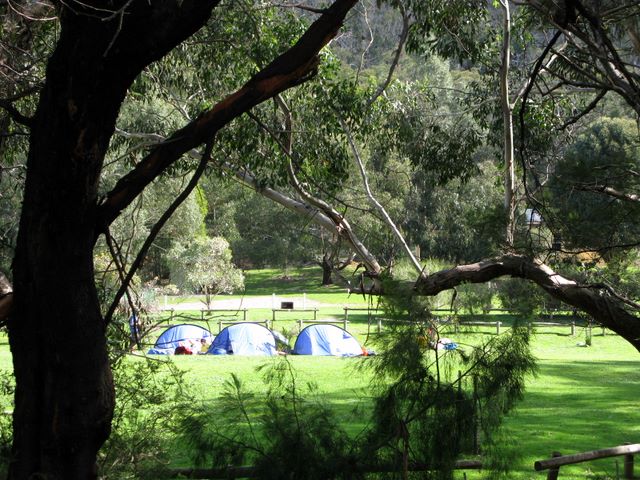 Halls Gap Caravan Park - Halls Gap: Area for tents and camping