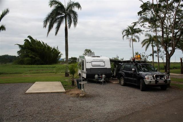 Palm Tree Caravan Park - Ingham Queensland: Powered sites for caravans (large)