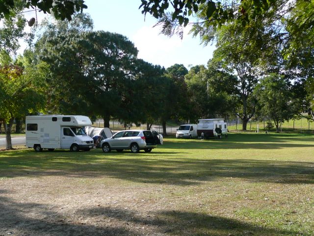 Kenilworth Caravan and Camping Area - Kenilworth: Powered sites for caravans with lots of open space