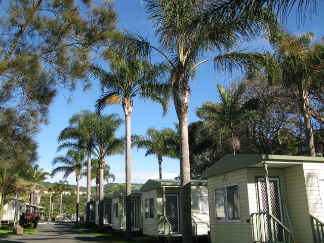 Easts Beach Holiday Park (BIG4) - Kiama: Cottage accommodation, ideal for families, couples and singles