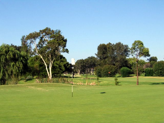 Kogarah Golf Course - Kogarah: Green on Hole 5