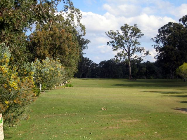 Maclean Golf Course - Maclean: Fairway from tee the 1st hole.