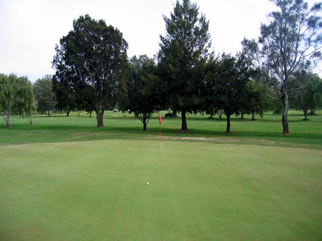Marrickville Golf Course - Marrickville Sydney: Green on Hole 2