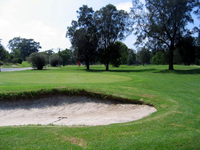 Marrickville Golf Course - Marrickville Sydney: Green on Hole 7