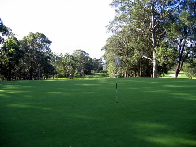 Merewether Golf Course - Adamstown: Green on Hole 12 looking back along fairway